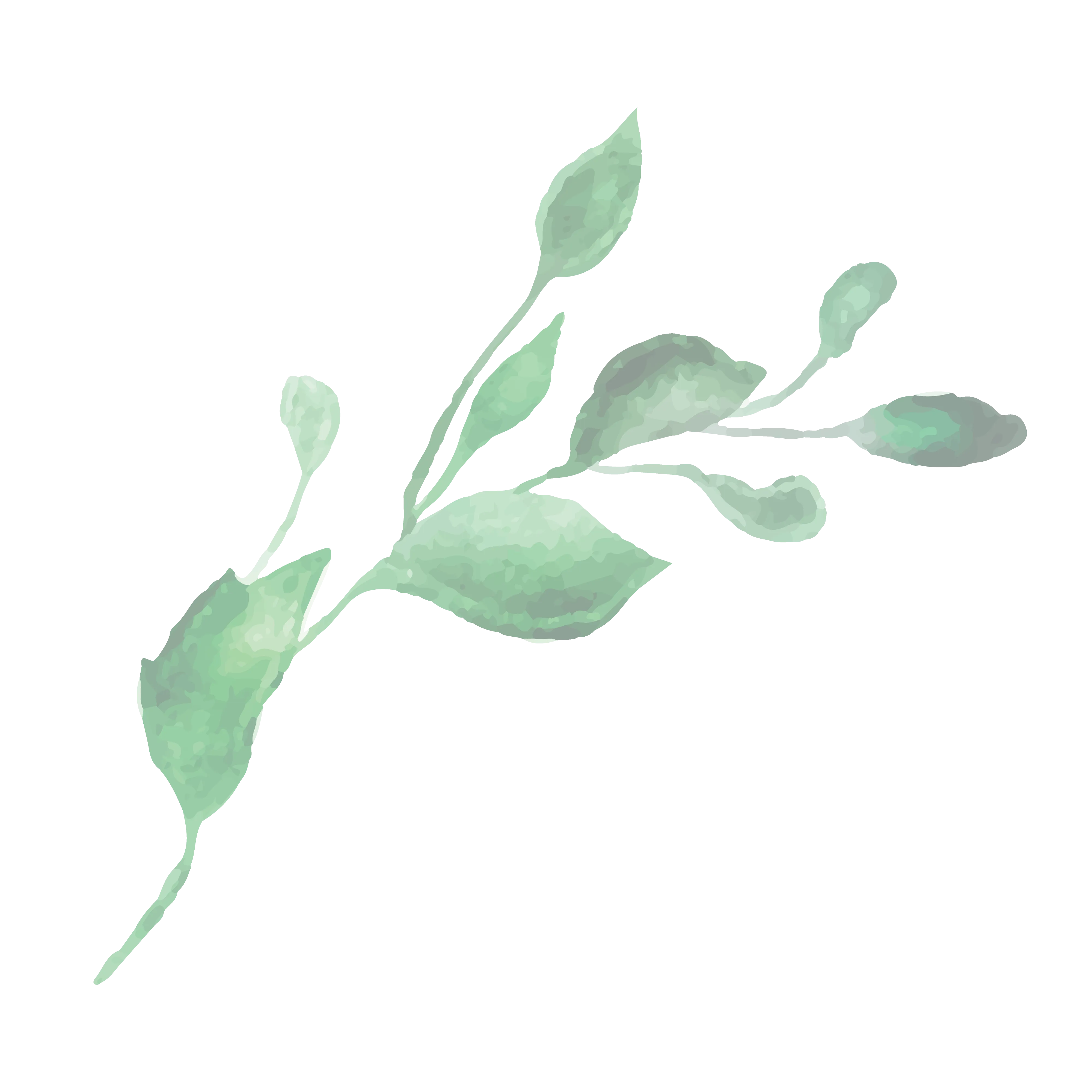 flower bg